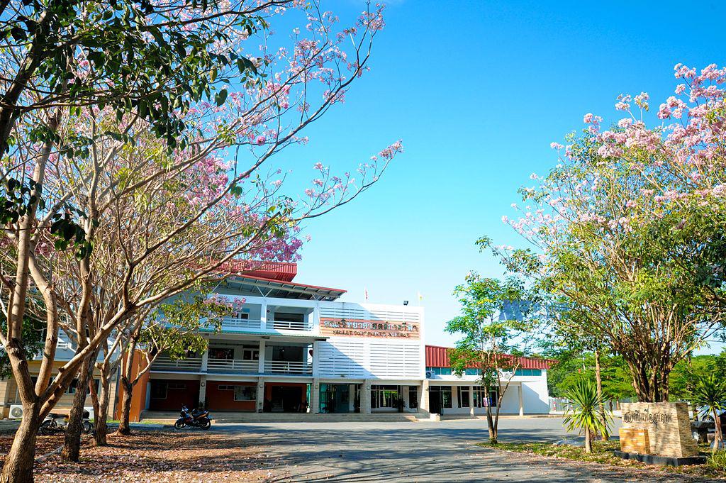 泰国农业大学(泰语:)成立于1943年,是泰国知名大学之一.